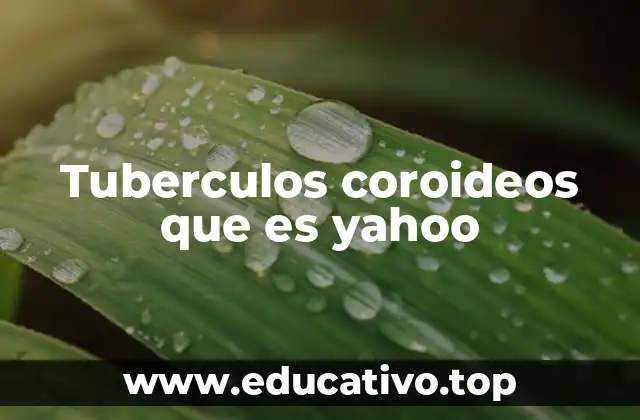 Tuberculos coroideos que es yahoo
