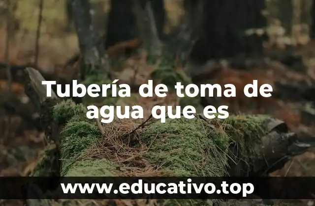 Tubería de toma de agua que es
