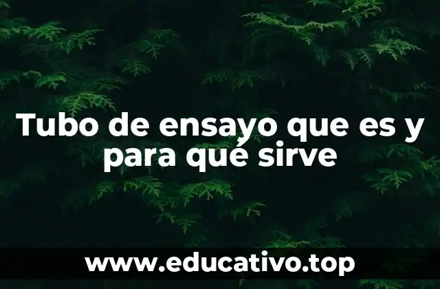 Tubo de ensayo que es y para qué sirve