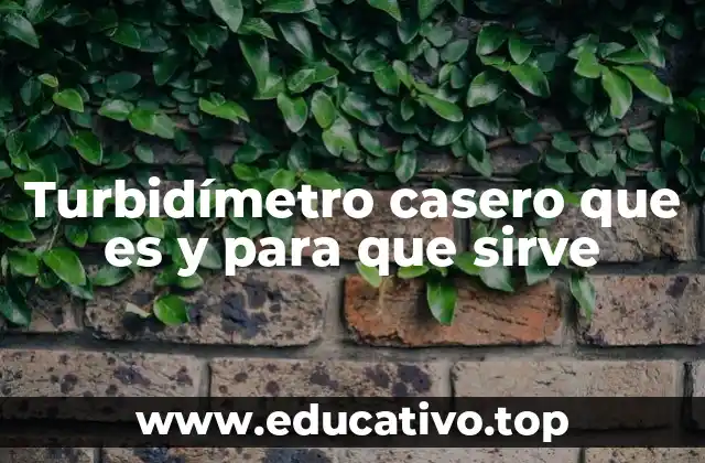 Turbidímetro casero que es y para que sirve