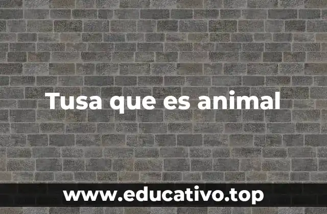 Tusa que es animal