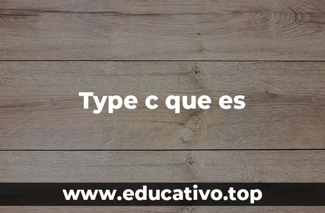 Type c que es