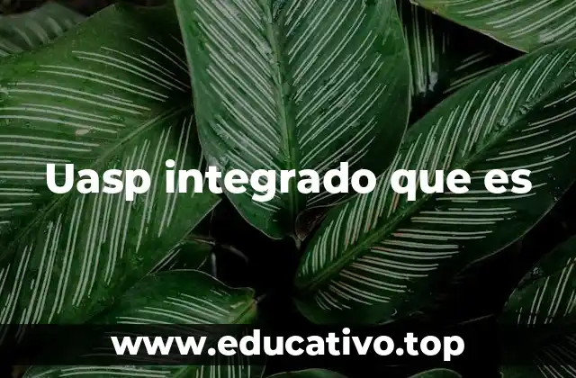 Uasp integrado que es