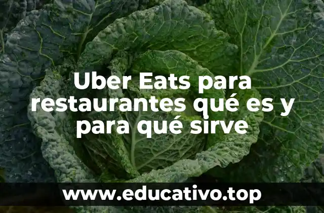 Uber Eats para restaurantes qué es y para qué sirve