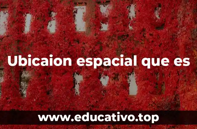 Ubicaion espacial que es
