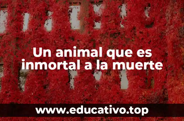 Un animal que es inmortal a la muerte