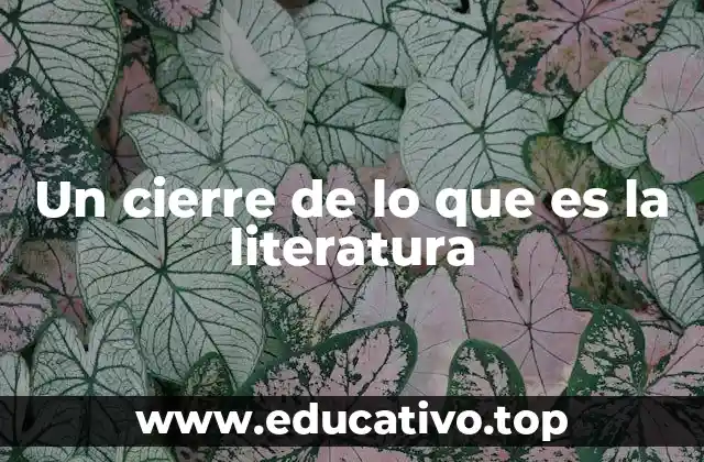 Un cierre de lo que es la literatura