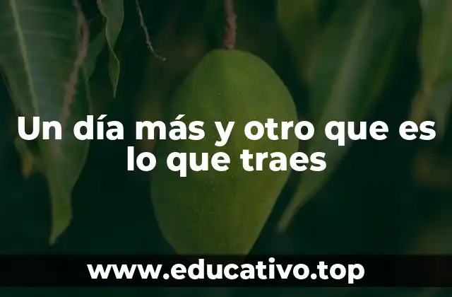 Un día más y otro que es lo que traes