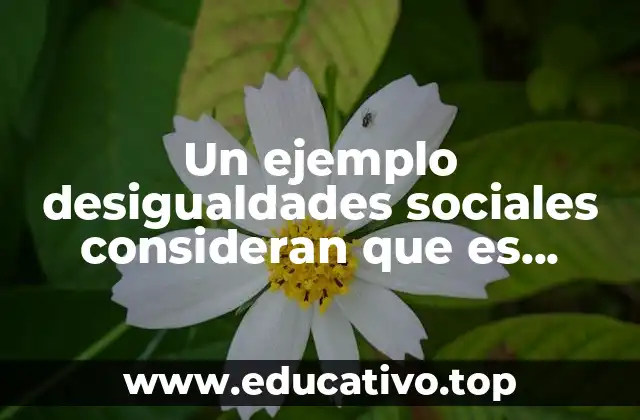 Un ejemplo desigualdades sociales consideran que es necesario estudiarlas