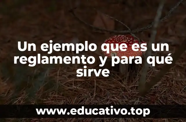 Un ejemplo que es un reglamento y para qué sirve
