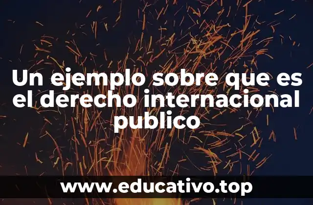 El papel del derecho internacional público en el orden global