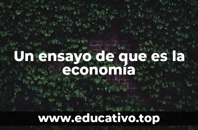 La economía como ciencia social y su impacto en la sociedad