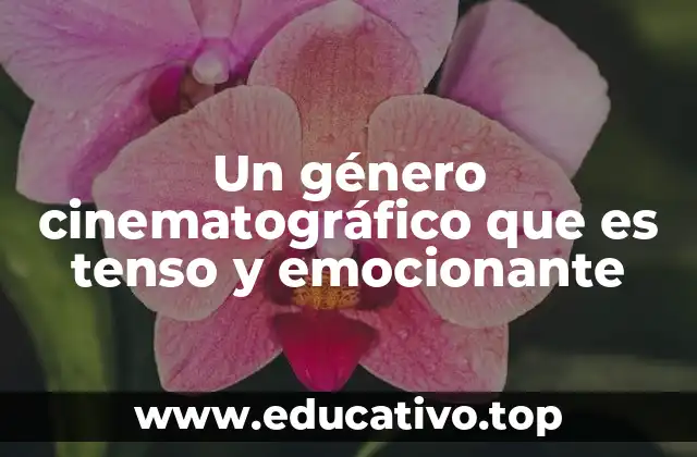 Un género cinematográfico que es tenso y emocionante