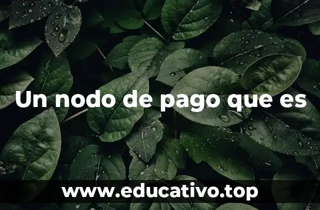 Un nodo de pago que es