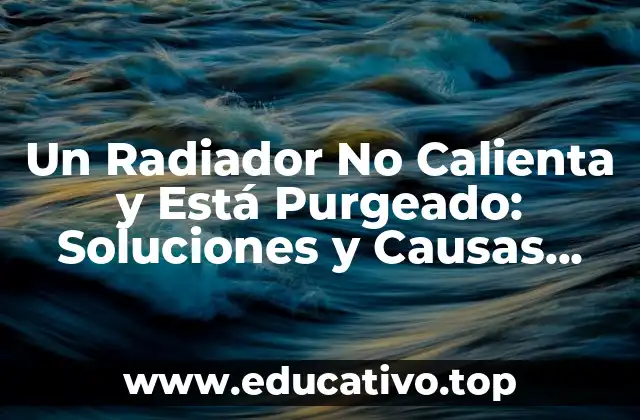 Un Radiador No Calienta y Está Purgeado: Soluciones y Causas Comunes