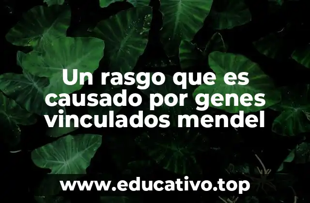 Un rasgo que es causado por genes vinculados mendel
