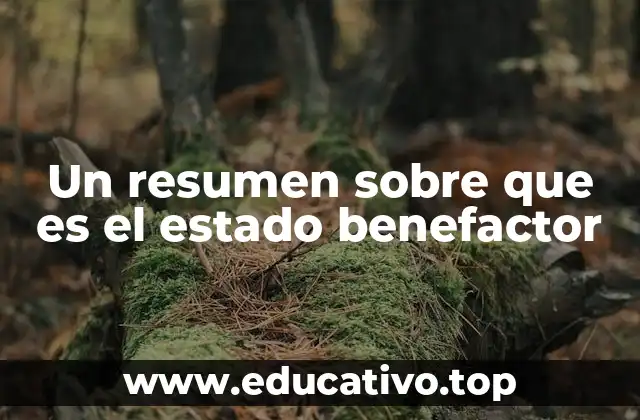Un resumen sobre que es el estado benefactor