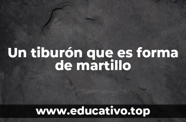 El diseño evolutivo detrás de su forma única