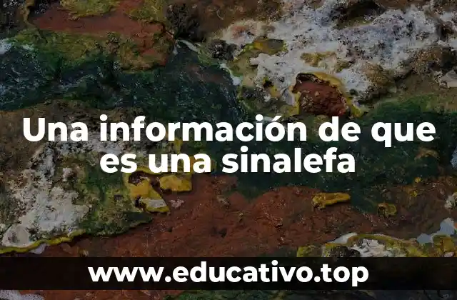 Una información de que es una sinalefa