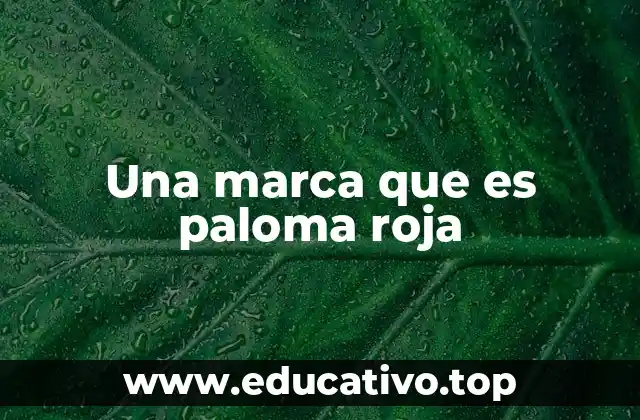 Una marca que es paloma roja