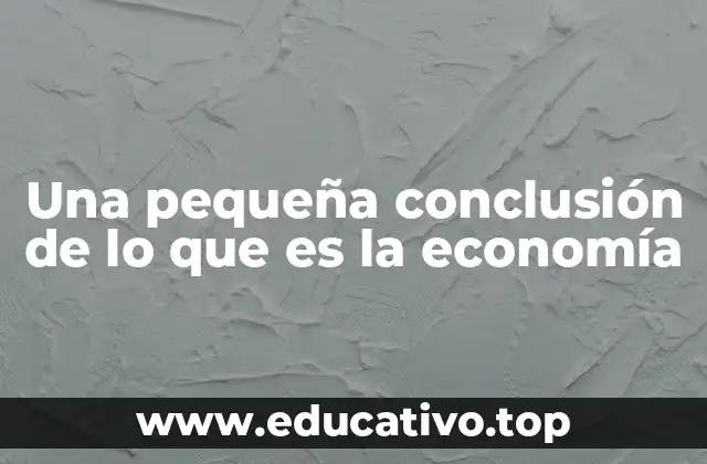 Una pequeña conclusión de lo que es la economía
