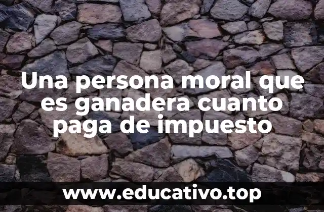 Una persona moral que es ganadera cuanto paga de impuesto