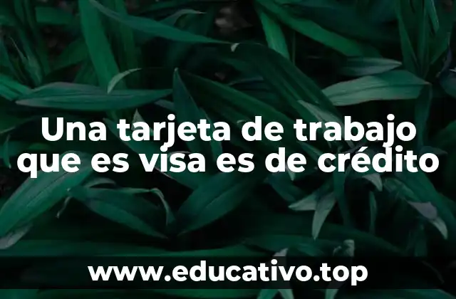 Una tarjeta de trabajo que es visa es de crédito