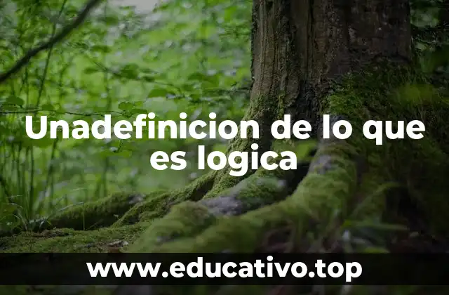 Unadefinicion de lo que es logica