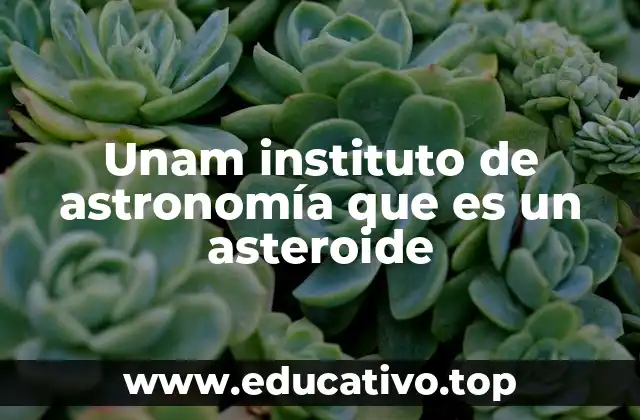 Unam instituto de astronomía que es un asteroide