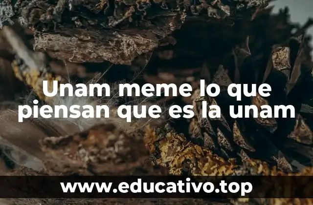 Unam meme lo que piensan que es la unam