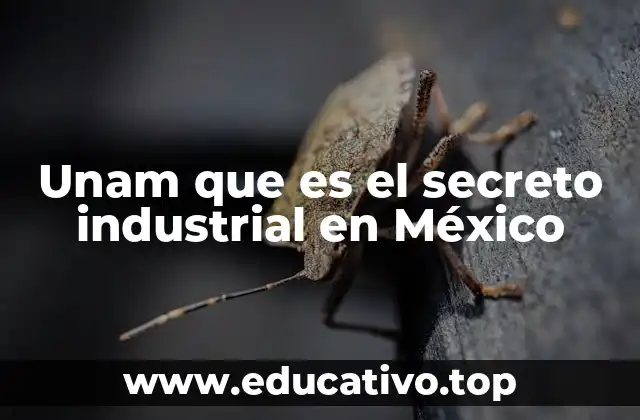Unam que es el secreto industrial en México