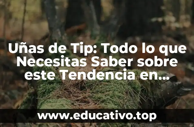 Uñas de Tip: Todo lo que Necesitas Saber sobre este Tendencia en Belleza