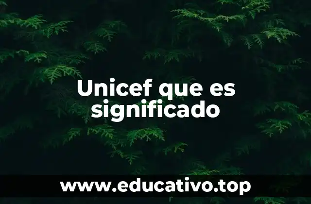 Unicef que es significado