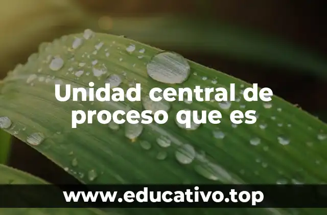 Unidad central de proceso que es