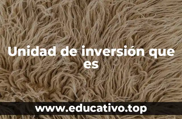 Unidad de inversión que es