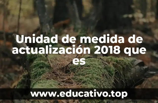 El papel de las actualizaciones en la tecnología moderna