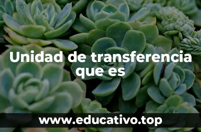 Unidad de transferencia que es