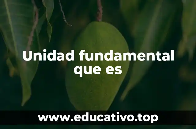 Unidad fundamental que es