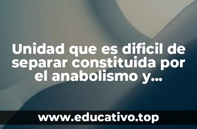 Unidad que es dificil de separar constituida por el anabolismo y catabolismo