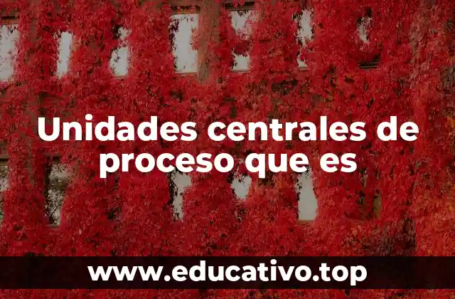 Unidades centrales de proceso que es