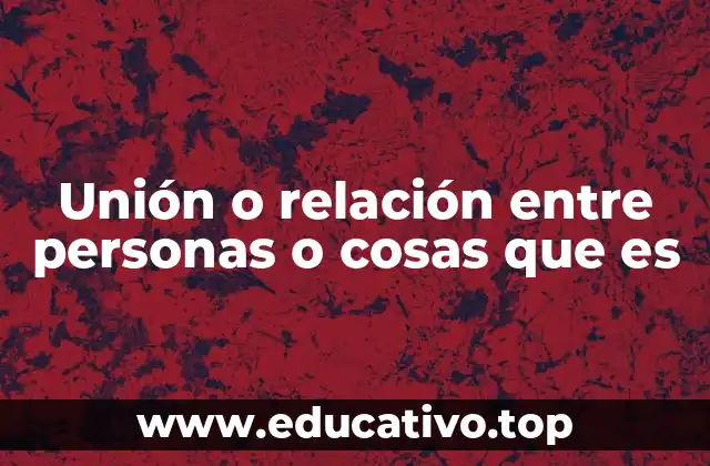 Unión o relación entre personas o cosas que es