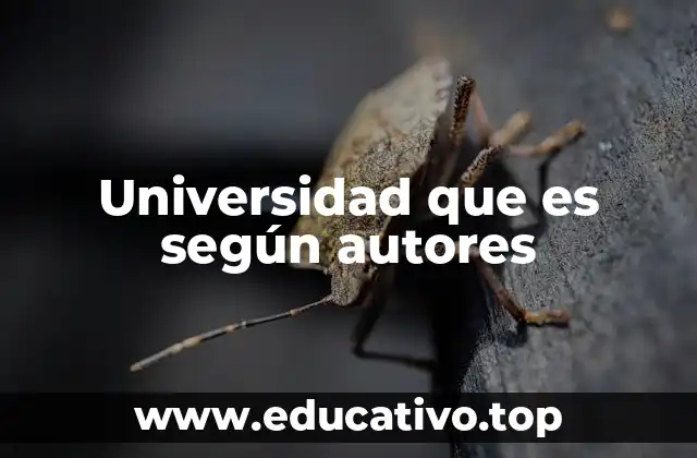 La universidad como espacio de formación y conocimiento