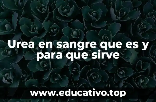 Urea en sangre que es y para que sirve