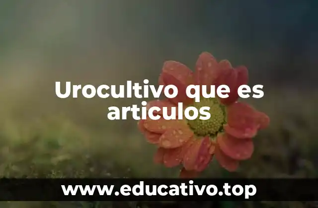 Urocultivo que es articulos