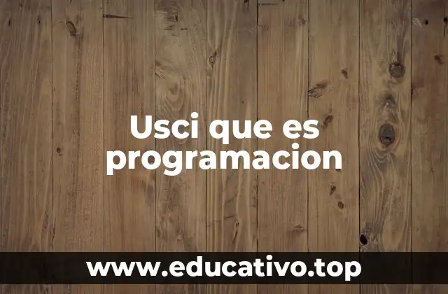 Usci que es programacion