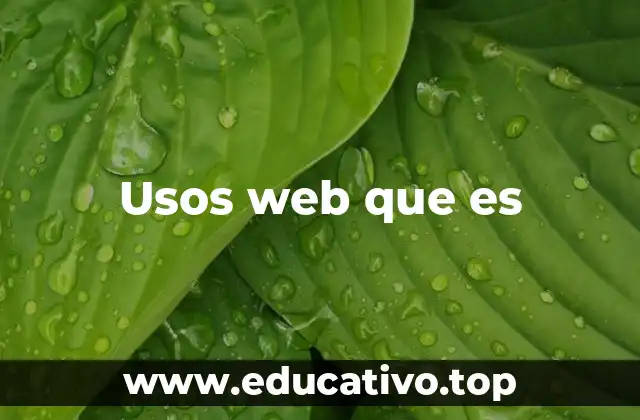 Usos web que es