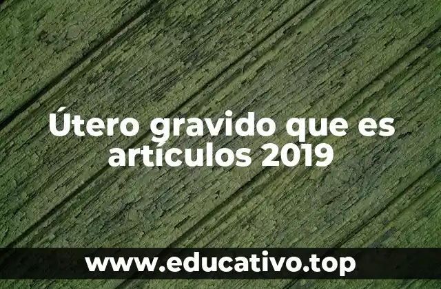 Útero gravido que es artículos 2019