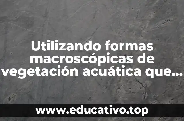 Utilizando formas macroscópicas de vegetación acuática que es