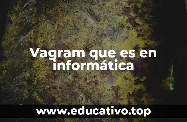 Vagram que es en informática