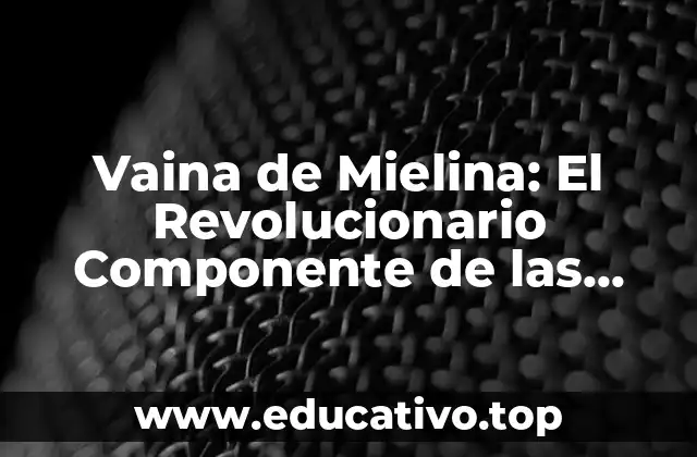 Vaina de Mielina: El Revolucionario Componente de las Células Nerviosas